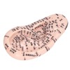 17cm Ear Point Probe 600pcs Auricular Patches Silicone Ear Model