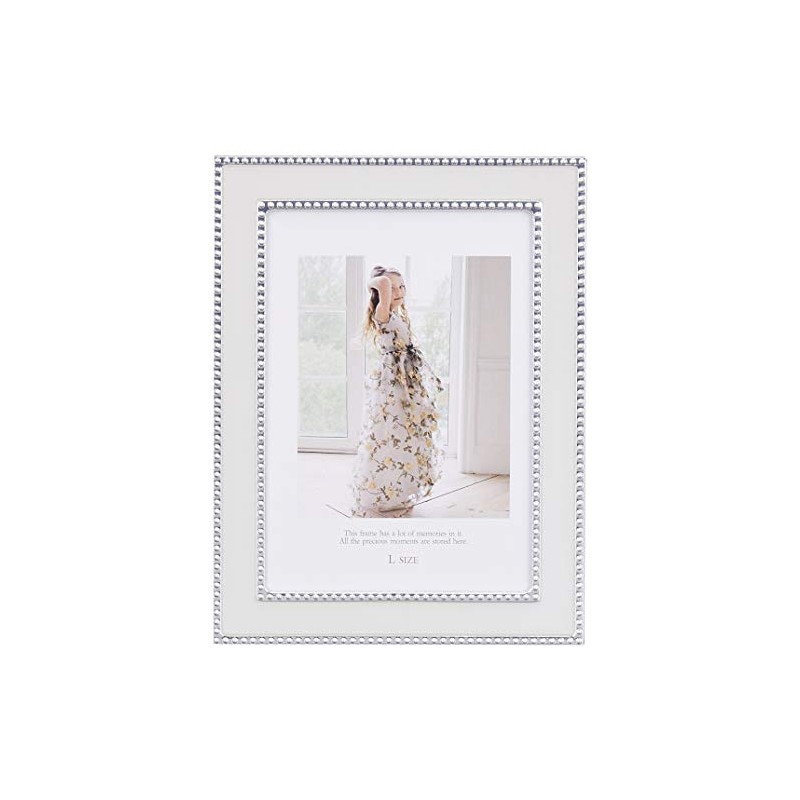 FUJICOLOR 506376 Pastel Color Frame, 11.8 gal (3003 L), Large,