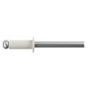 4.8mm x 12mm Grey White Painted Colour Blind Pop Rivet