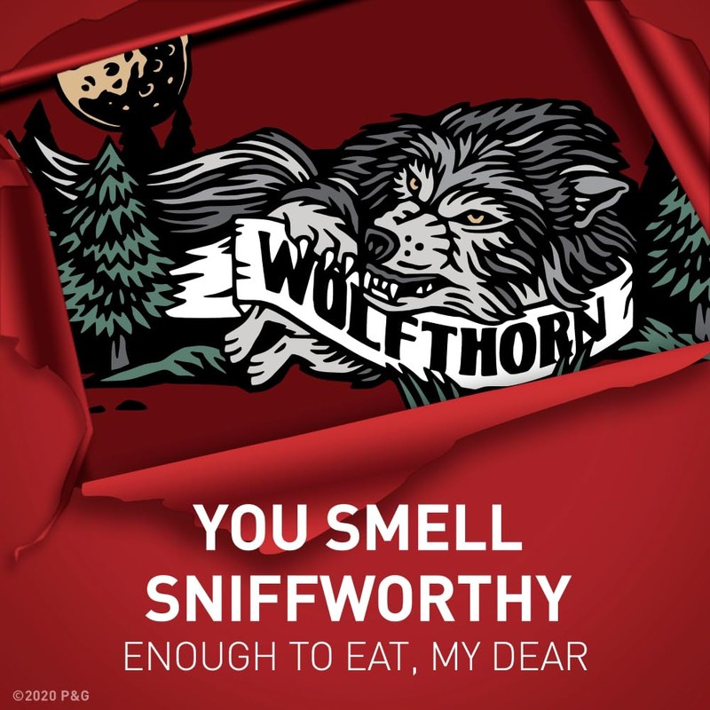 Old Spice Wild Collection Invisible Solid Antiperspirant Deodorant, Wolfthorn, 2.6