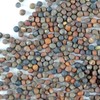 Handy Pantry Broccoli Sprouts Seed Organic- 1 Lb - Non-GMO