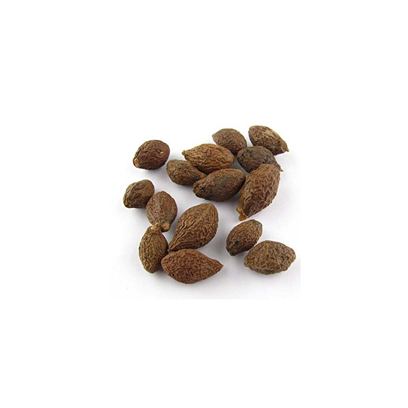 Greenhilltea, Malva Nut Dried Sterculia Lychnophora, Dried Pangdahai胖大海, Caffeine free