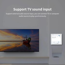 Fahgaer Mini 8 Ohm Android 10.0 System Smart WiFi Bluetooth 2X25W Stereo Home Theater Background Music Wall Amp Black