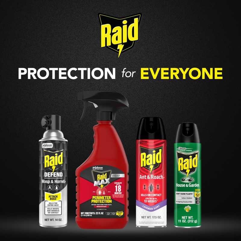 Raid Wasp & Hornet Killer Spray (14 Ounce (Pack of