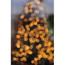 ArtExpert OR, Portland Lights on holiday Christmas tree by Steve Terrill -