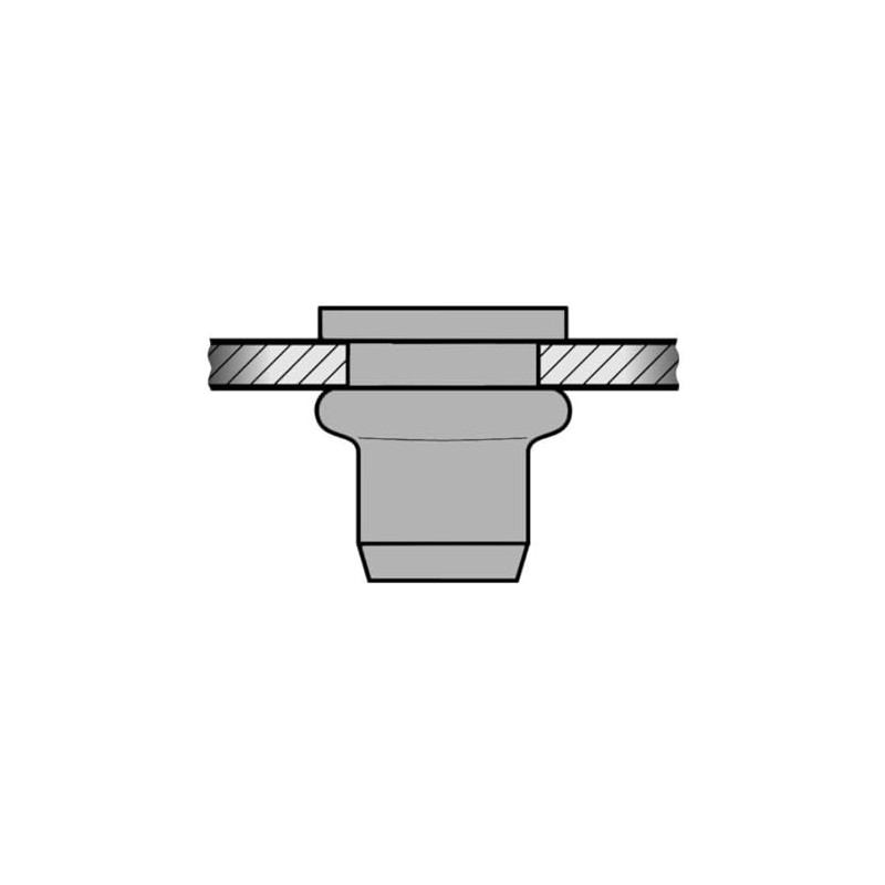 Gesipa Blind Rivet Nut M5 Medium Mini Pack 1433672 (Blind