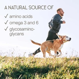 SuperSelf Green Lipped Mussel for Humans & Dogs - New Zealand Green Lipped Mussel Capsules 1000mg - High Strength Joint & Mobility Supplement with Omega 3-100% Pure Powder - 90 Tablets - Made in The UK