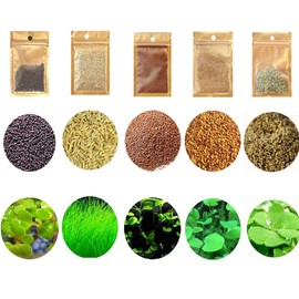 Mysteryhigh 5 Aquarium Plants S.e.e.d Set, not Artifical, Fish Tank Decor Replacement for Resin or Plastic Grass