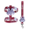 Cat Harness and Leash Set for Safe Walking, Escape Proof