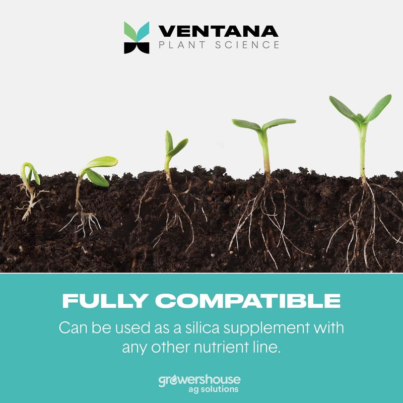 VPS Structure Silica Supplement (1 Qt)