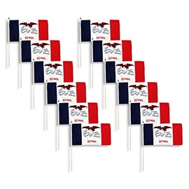 Iowa Flag 12 x 18 inch (12 PK)