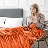 IR Imperial Rooms Fleece Blanket - Super Soft Fluffy Throw
