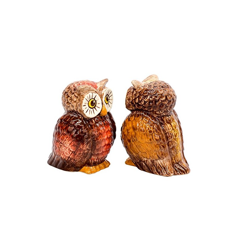Attractive Salt and Pepper Shaker - OWLS by Pacific Trading