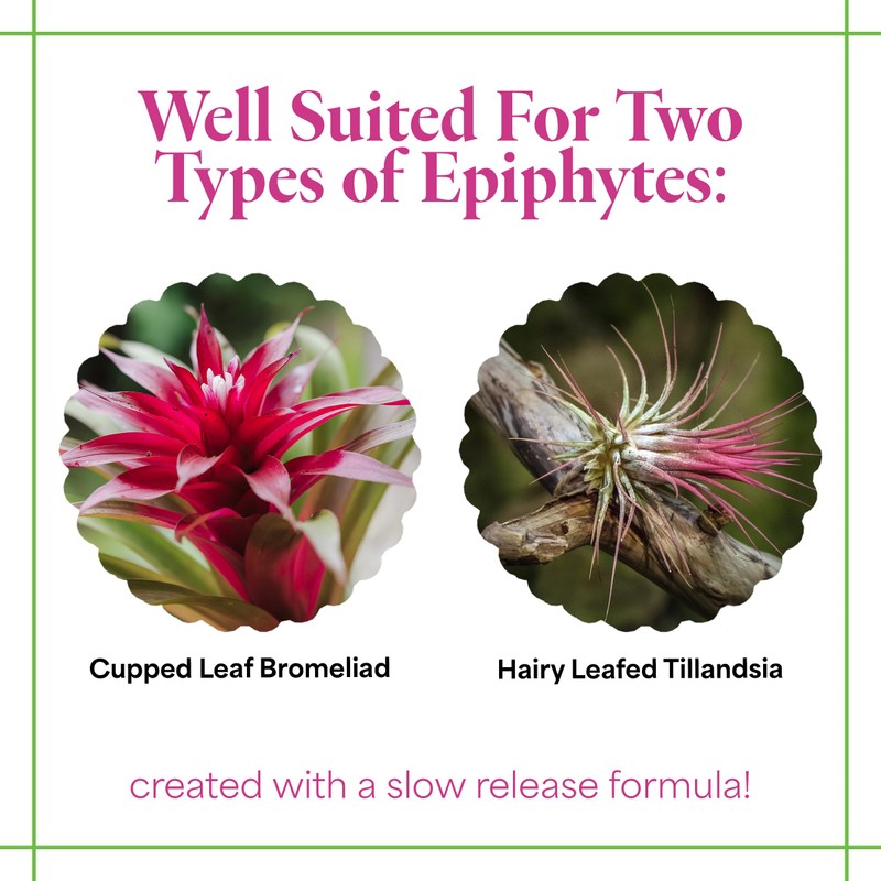 Grow More Bromeliad Tillandsia Food (17-8-22) - 1.25lbs of Water