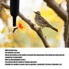 DIY Hummingbird Feeder, Hanging Hummingbird Feeder Hummingbird Feeder Kit for