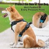 PoyPet No Pull Dog Harness, Reflective Vest Harness with 2
