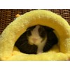 moin moin 2110RH21 Guinea Pig Ferret, Rabbit, Bed, House, Hut,