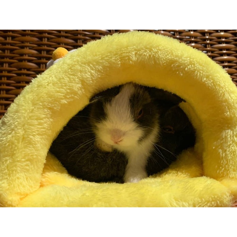 moin moin 2110RH21 Guinea Pig Ferret, Rabbit, Bed, House, Hut,