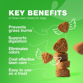 Grass Burn Spot Chews for Dogs - Urine Neutralizer for Lawn - Pee Lawn Spot Saver Caused by Urine - Probiotics, Enzymes & Multivitamins - Grass Saver Soft Treats for Canine Digestive and UTI Support