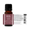 ECO. Modern Essentials Anxiety Essential Oil Blend, 10ml