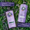Kit Herbal Essences Lavanda 1.2 L