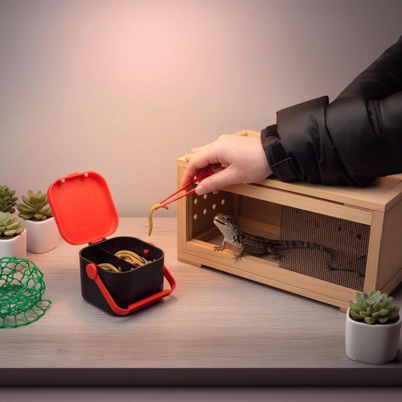 Mealworms Breeding Box Feeding Kit to Breed Live Worms for