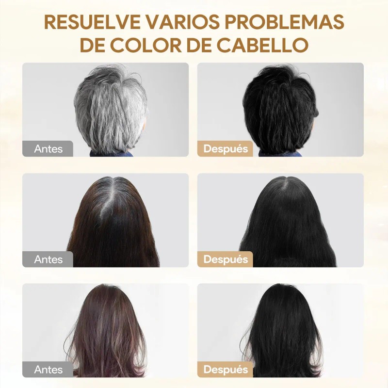 Shampoo Tinte Rapido Natural Cubre Canas Hombre Mujer 2pcs