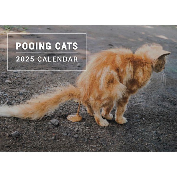 evelay 2025 A4 Funny Cat Pooping Calendar Month to View