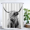 Ulticool Shower Curtain - Scottish Highlander Black White - 180
