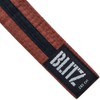 Blitz Colour Belt/Black Stripe - Brown/Black - 250cm