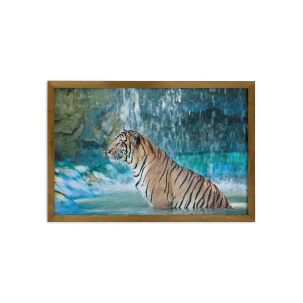 Ambesonne Tiger Framed Wall Art, Feline Beast in Pond Searching