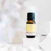 ECO. Modern Essentials Clarity & Focus Essential Oil Blend, 10ml
