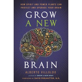 Grow A New Brain: How Spirit and Power Plants Can Protect and Upgrade Your Brain