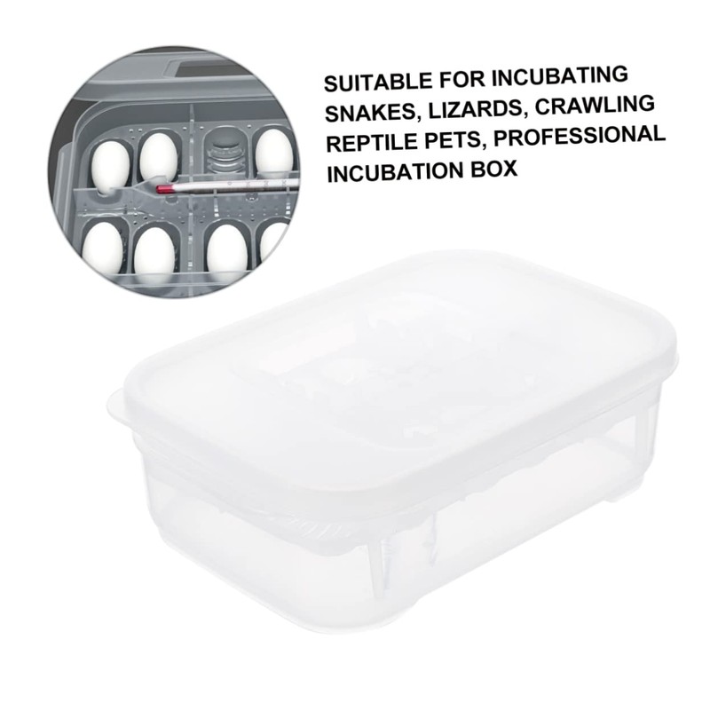 BESPORTBLE Box Reptile Hatching Incubation Box Durable Breeding Container for