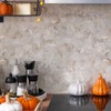OYASIMI 10 Sheets Hexagon Peel and Stick Backsplash for Kitchen