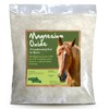 Horse Herbs Magnesium Oxide - 99% Pure Calming Supplement for