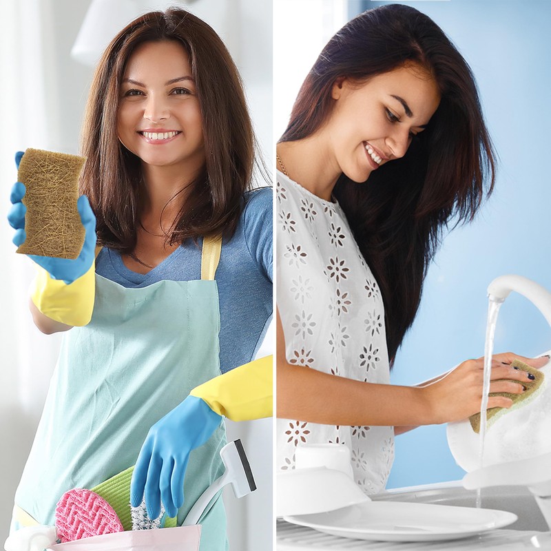 AIRNEX Biodegradable Natural Kitchen Sponge - Compostable Cellulose and Coconut