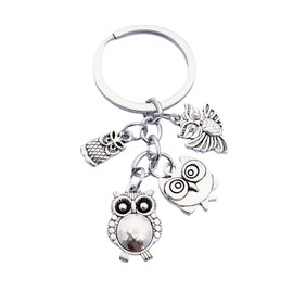 PYNASA Owl Keychain Set for Women Men, 4-Tone Owl Charm Set Key Chain Accessories Gifts For Car Key Ring,Backpacks,Hand Bag, Silver, Small