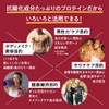 アンファー オムテック 妊活プロテイン 男性活力をサポート (葉酸/亜鉛/マカ/シトルリンなど17種成分配合) チョコレート味 750g