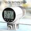 JuzPetz Automatic Fish Feeder Dispenser for Aquarium, 200ml Large Capacity