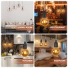 Teynewer Pendant Light Fitting, E27 Lamp Holder with Switch Suspended
