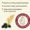 OGX Aveeno Color Protect Strengthen+ Blackberry Quinoa Shampoo, Fresh, 12