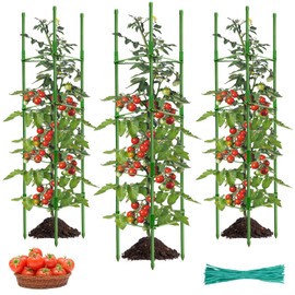 ZeeDix Tomato Cages for Garden 63 inches, Tomatoes Plant Stakes & Plant Support, Tomato Trellis for Pots Climbing Vegetables Flowers Plants (3 Pack - Extra Tall Upto 63 inches)