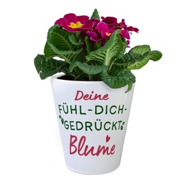 Motivation Flower Pot with Saying "Deine Fühl-Dich-gedrückt-Blume Fühl-Dich-gedrückt-Blume Fühl-Dich-gedrückt-Blume Ein Zeichen von Freundschaft Hug Liebe Wertschätzung und Gesundheit