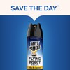 Hot Shot Flying Insect Killer, 15 Ounces, Aerosol Formula Kills