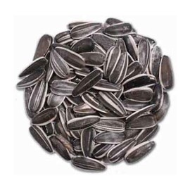 CountryMax Backyard Seeds Striped Sunflower Seeds for Cardinals 3lbs - Premium Large Bird Seed for Outside Feeders, Small Bag of Wild Bird Food