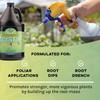 Microbe Life Hydroponics Additive Kit, Includes One 16-Ounce Bottle Each