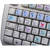 4Keyboard Steinberg CUBASE/NUENDO Galaxy Series Keyboard Stickers Shortcuts 12X12 Size