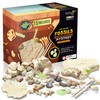 Dino Fossil Dig Kit for Kids 4-12 Discover Learn with