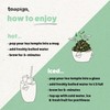 teapigs Strawberry & Juniper Tea Bags - Herbal Tea Fruit